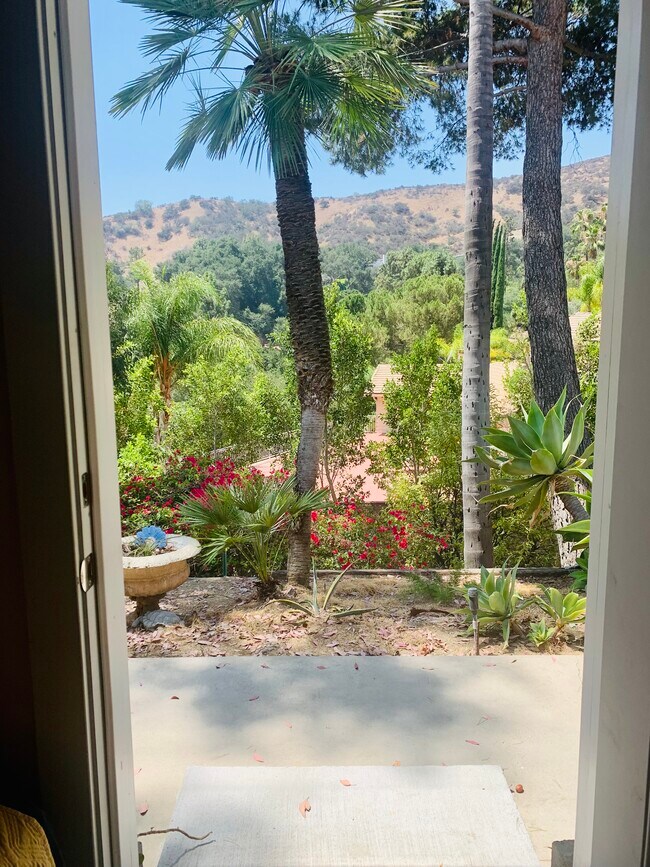 Building Photo - 2328 Via Saldivar St