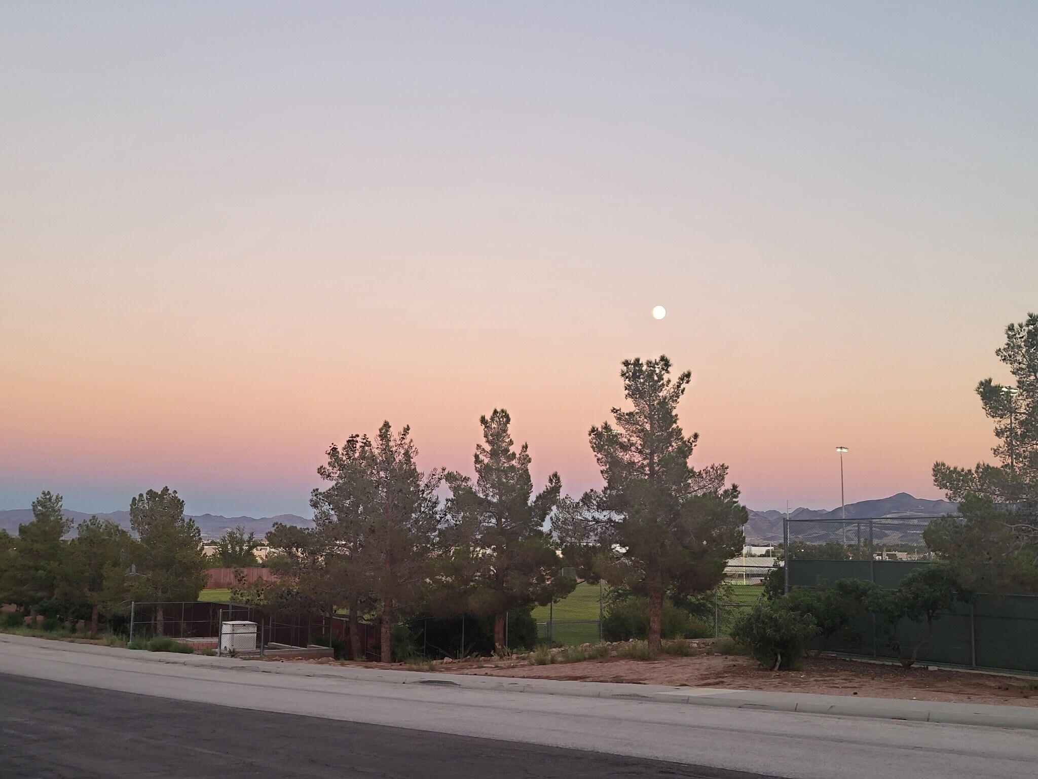 Front yard view - 3114 E Oquendo Rd