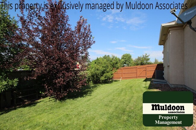 Building Photo - Coming soon! Gorgeous ranch style home in Soaring Eagles