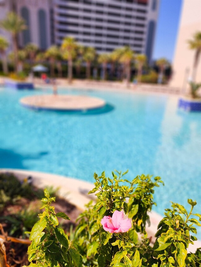 Building Photo - 102 Gulfside Ct