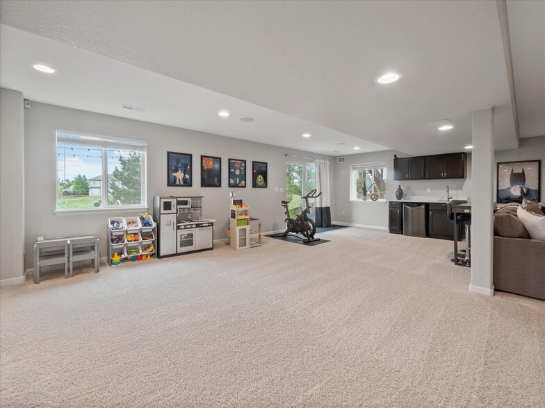 Basement - 1048 Orion Way