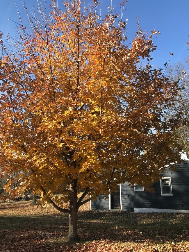 Building Photo - 306 S Kirkwood St