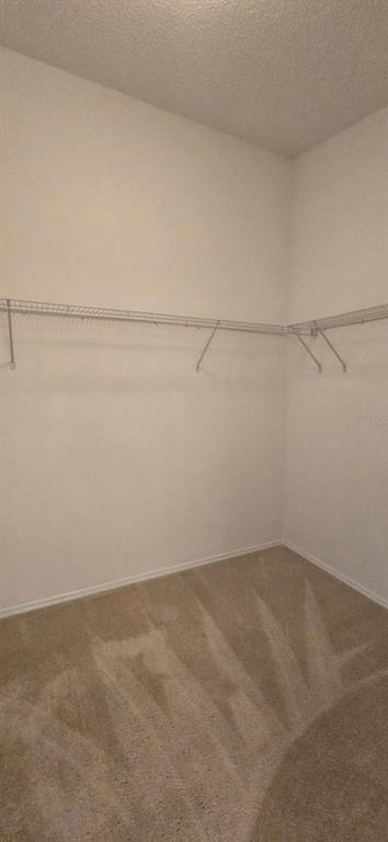 Building Photo - 1009 Ridgeville Rd