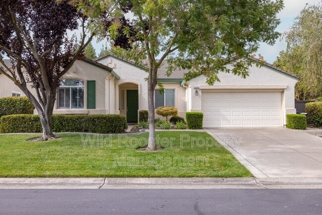 Primary Photo - 2713 Robinson Creek Ln