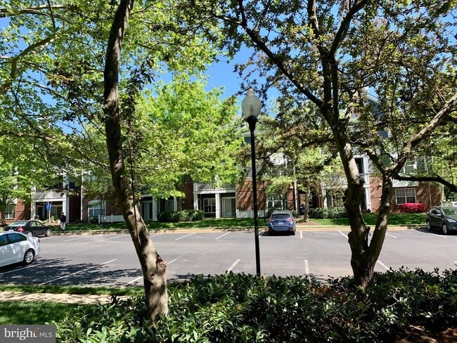 Building Photo - 20301 Beechwood Terrace