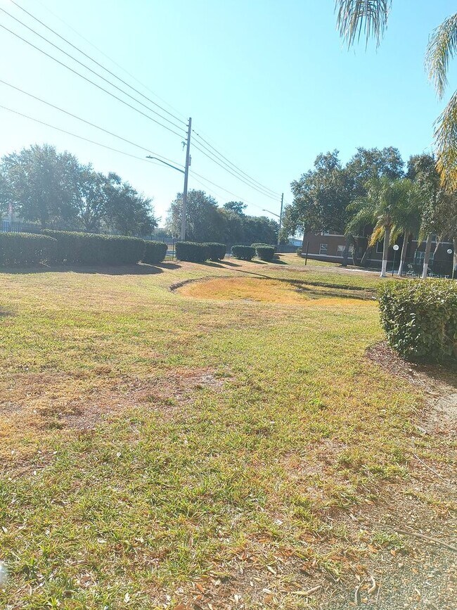 Building Photo - V1113