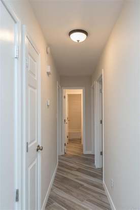 Building Photo - 4207 Cherry Laurel Dr