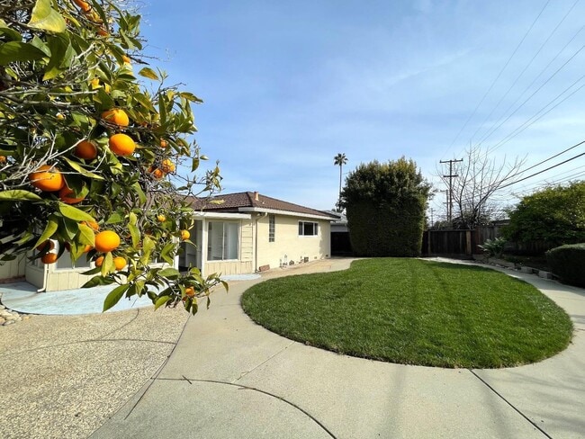 Building Photo - 4876 Springdale Dr