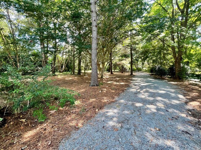 Building Photo - 1504 Sawgrass Ln