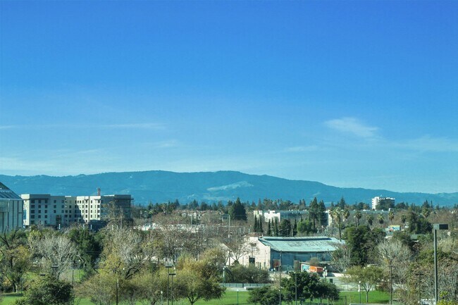 Building Photo - Gorgeous 1 Bedroom Condo with Floor to Cei...
