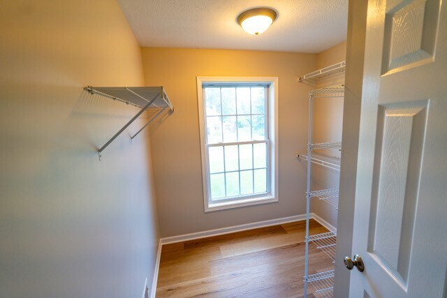 Building Photo - 649 Kayloc Cir