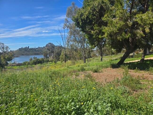 Building Photo - 1 Bed 1 Bath Close to Lake Murray