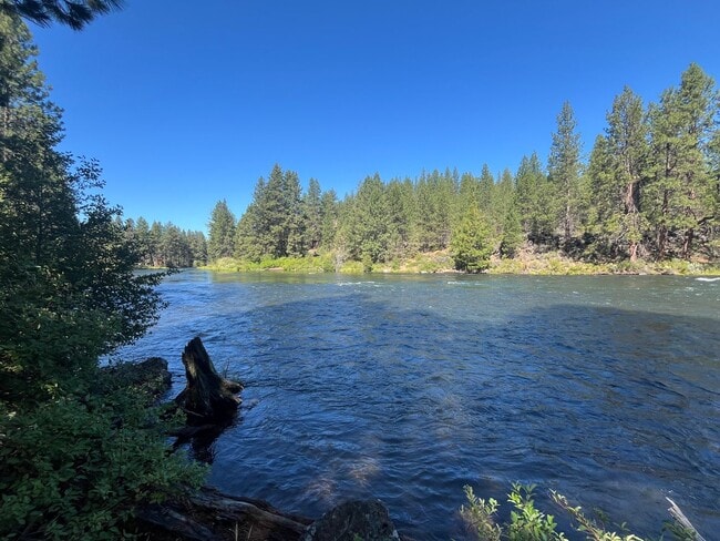 Building Photo - Stunning 3 Bed/ 2.5-Bath Home on the River...