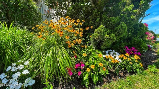 Building Photo - 500 Deal Lake Dr