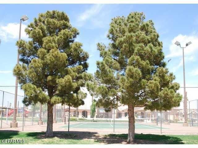 Building Photo - 3713 Star Beach Ln