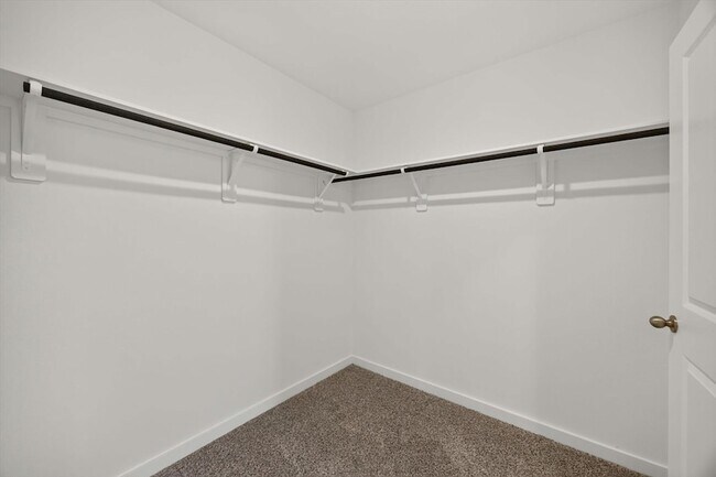 Building Photo - 28126 Meadowlark Sky Dr