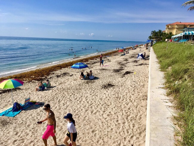 Building Photo - 4501 S Ocean Boulevard A7