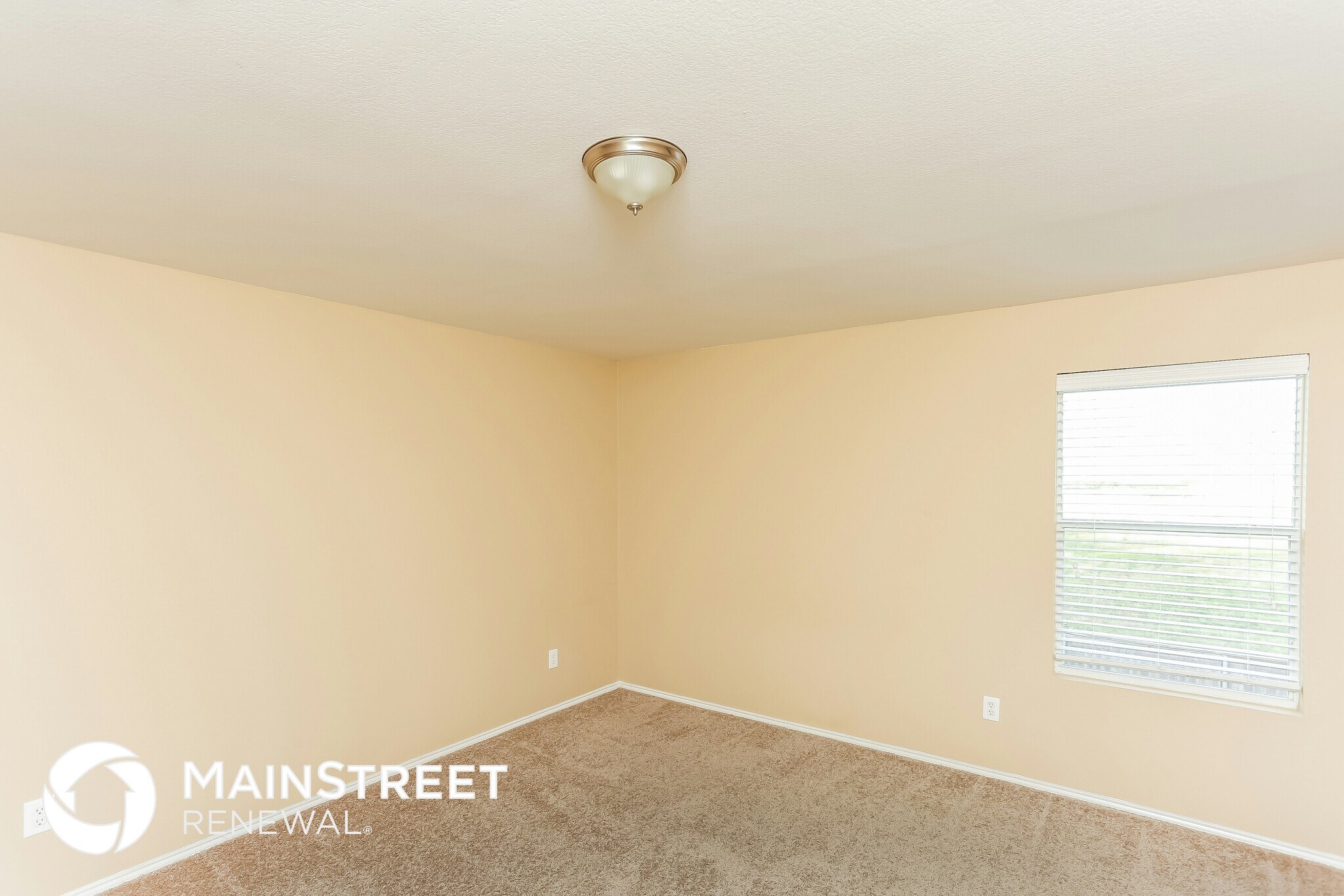 Building Photo - 113 Franklin Ct