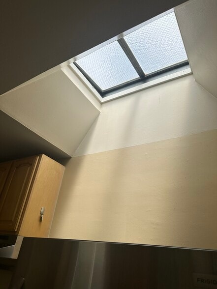 kitchen skylight - 245 Concord St