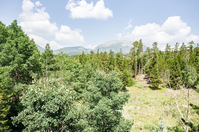 Building Photo - Convenient Location! Lots of Space and Lig...