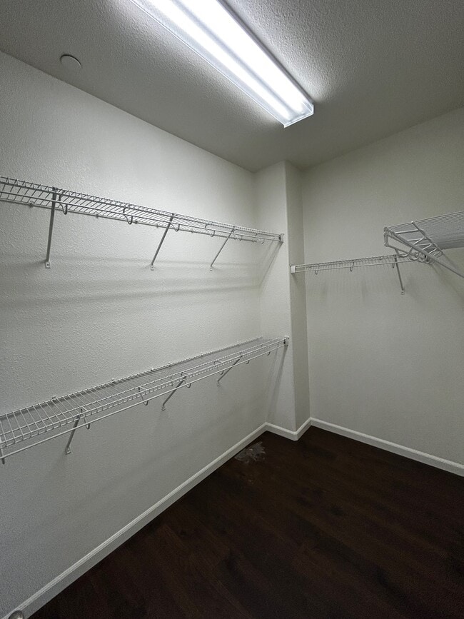 Building Photo - 2155 Bolero Dr