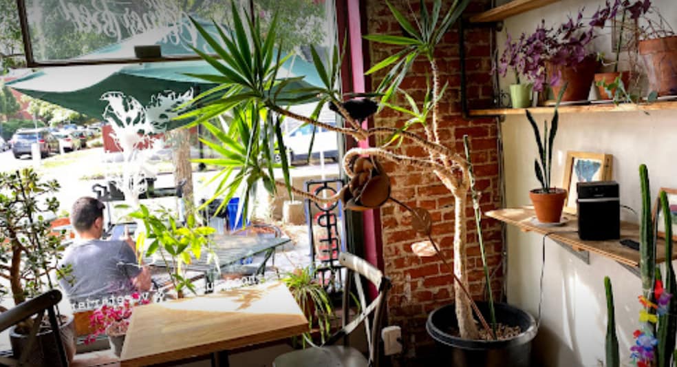 Cafes - Surrounding Area - 800 N Washington St
