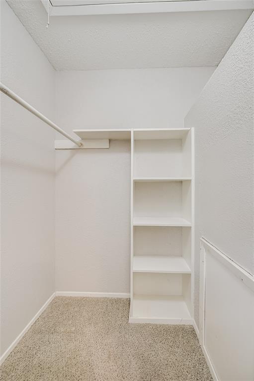 Building Photo - 5913 Little Creek Trail