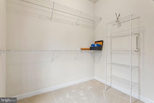 Building Photo - 3675 Spring Hollow Ln