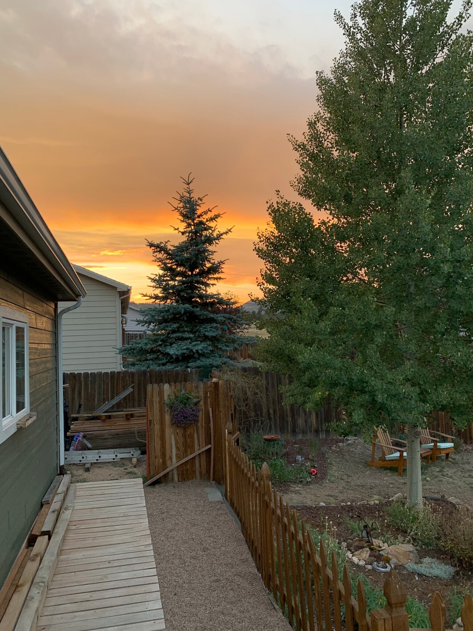 Building Photo - 1655 Gray Hawk Ct