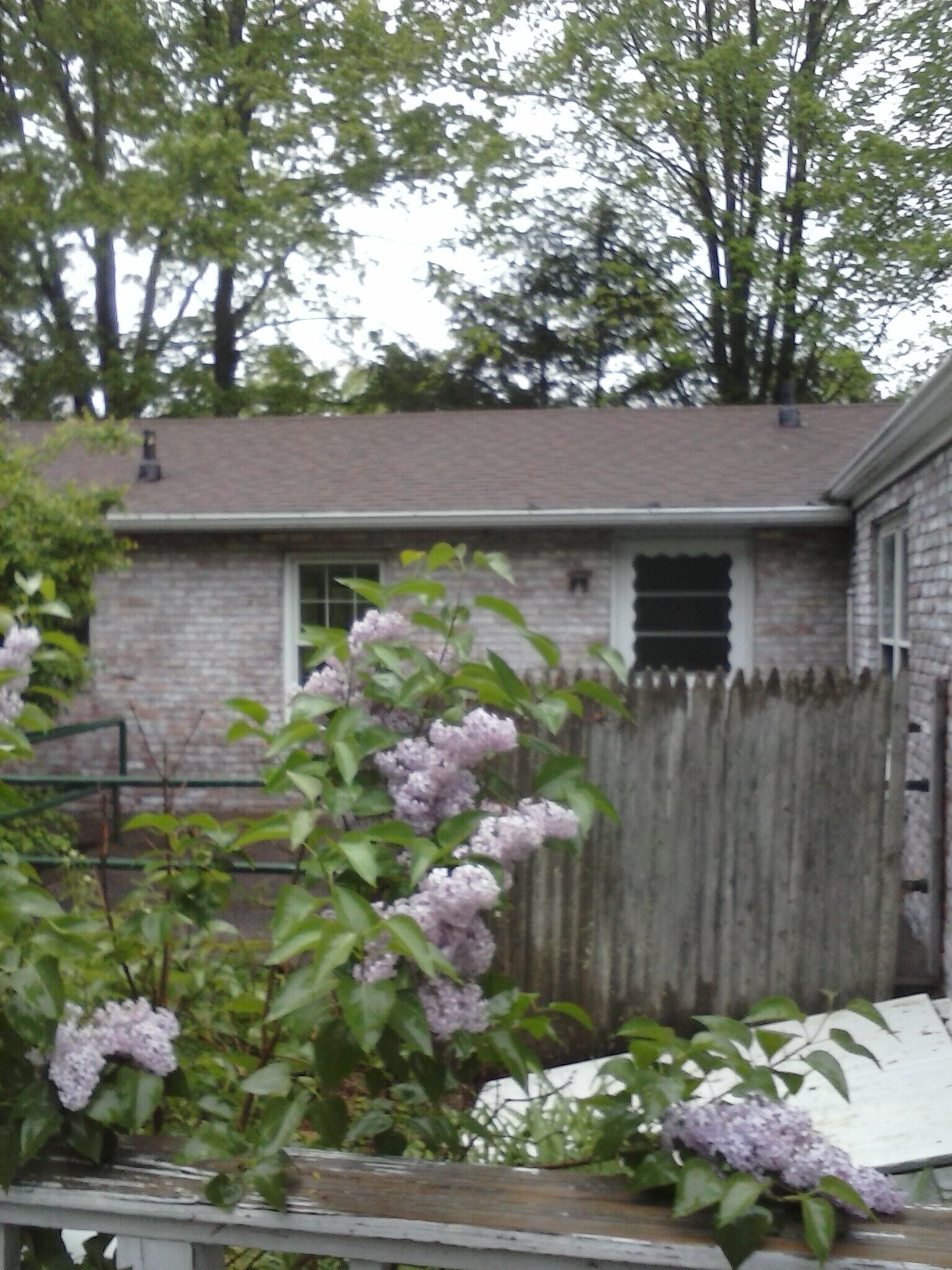 Building Photo - 79 Owens Ln