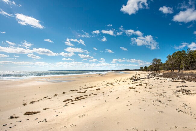 Building Photo - 22 Crescent Surf Rd