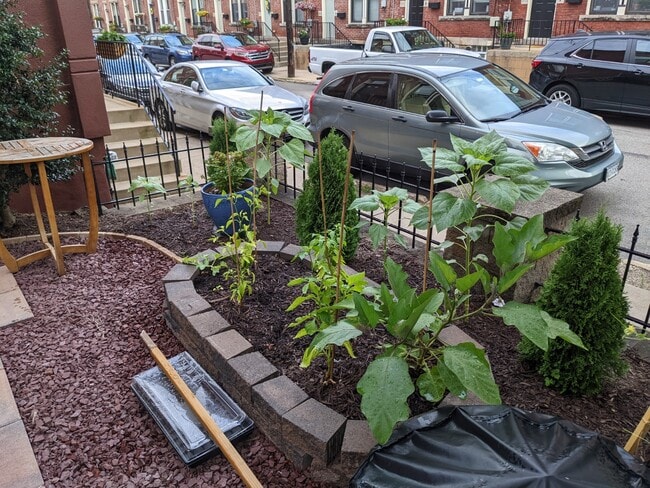 Plenty of garden beds - 5832 Pierce St