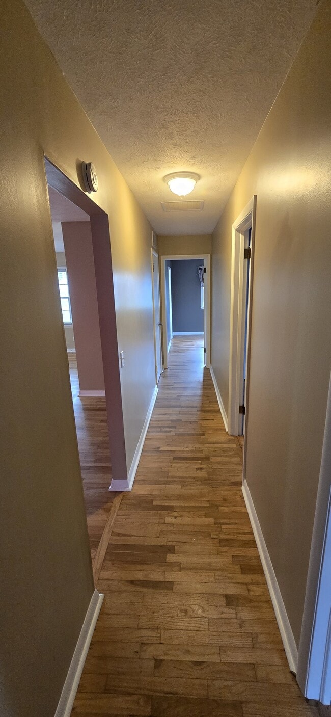 Building Photo - 801 N Ohio St