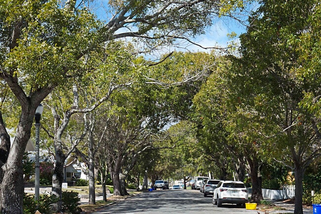 Building Photo - 705 New York St