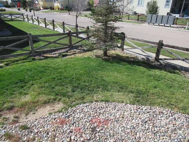 Building Photo - 8007 Briarthorn Ln