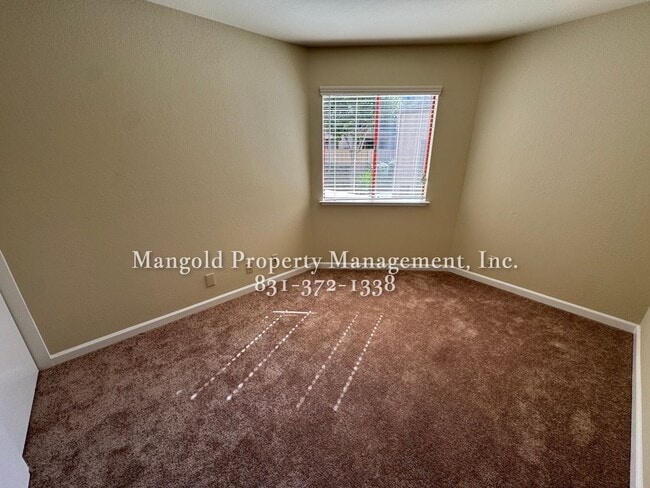 Building Photo - 2-Bedroom 1-Bath Condo with Fireplace, New...