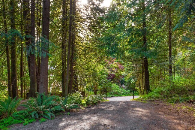 Building Photo - 50% Off First Month's Rent for March Move In! Beautiful 4 Bedroom 3 Bath Issaquah Home on Large P...