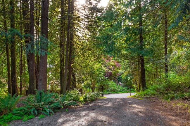 Building Photo - Beautiful 4 Bedroom 3 Bath Issaquah Home on Large Private Lot