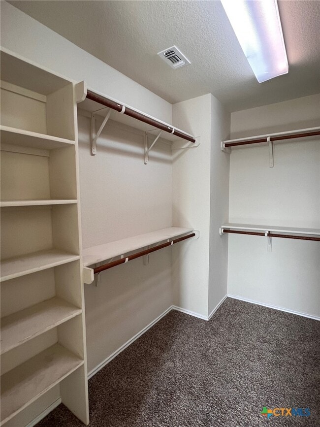 Building Photo - 2520 Dante Ct