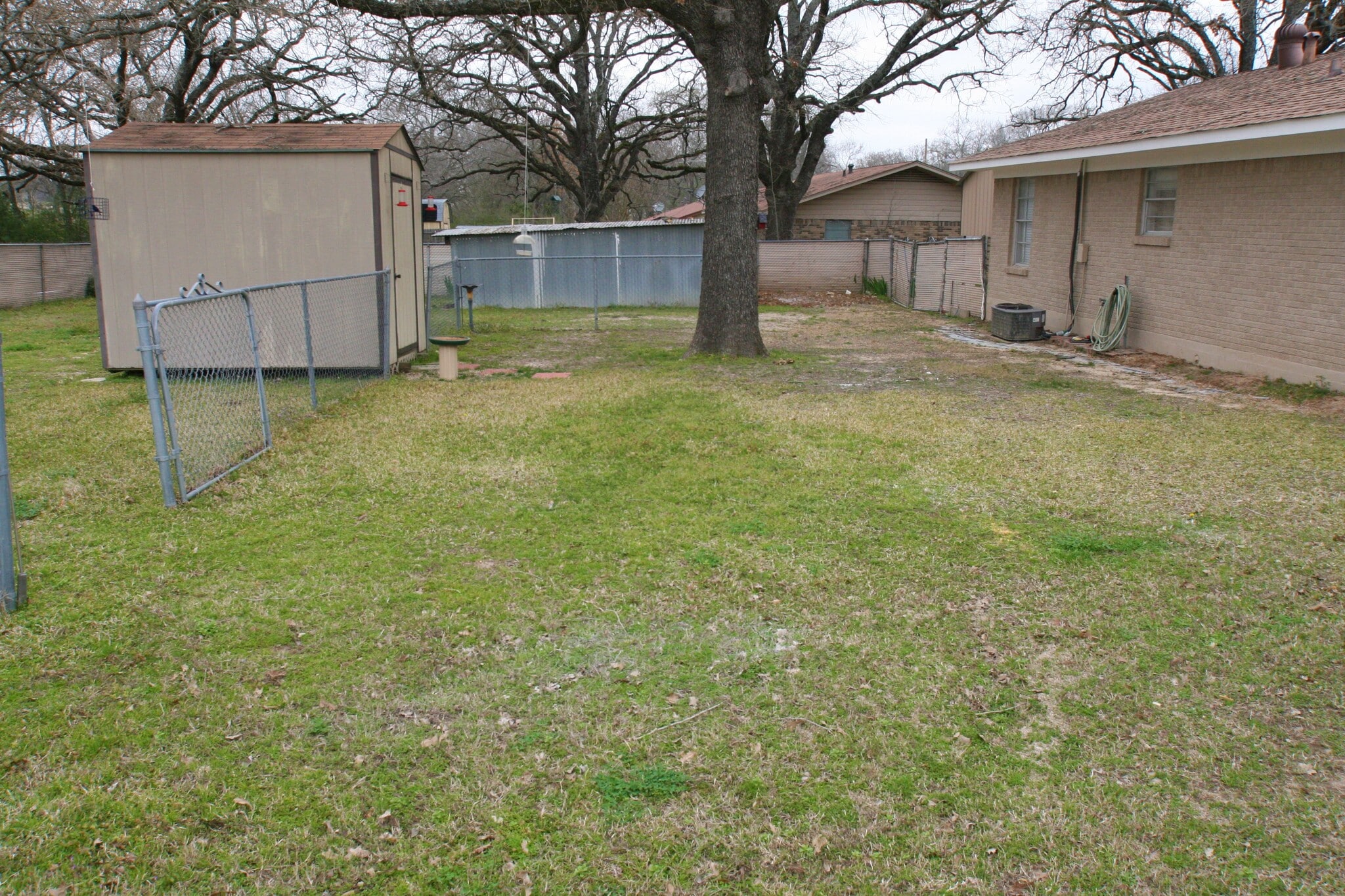 backyard with shed - 503 Hilliard Dr