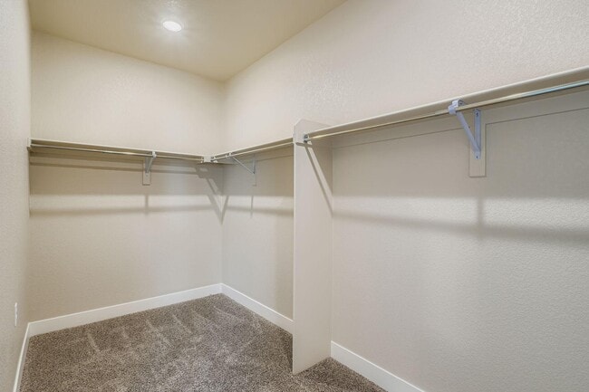 Building Photo - 2502 Colt Wy