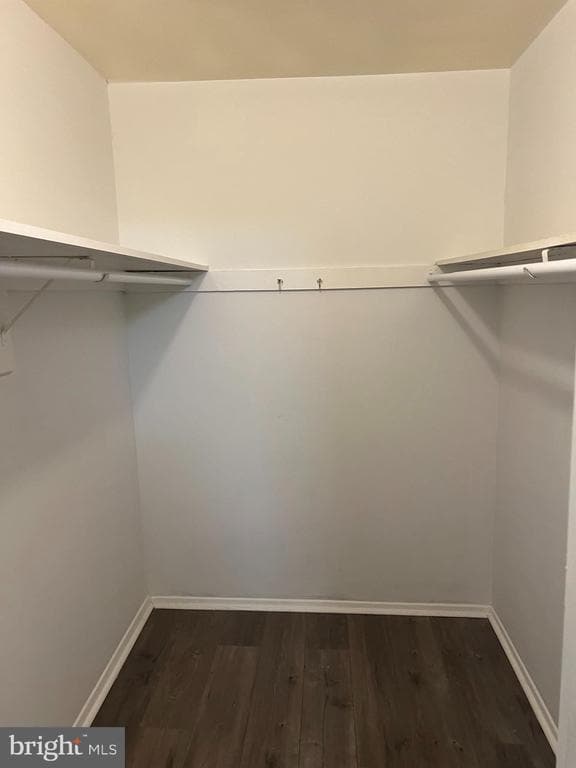 Building Photo - 2021 Chadwick Terrace