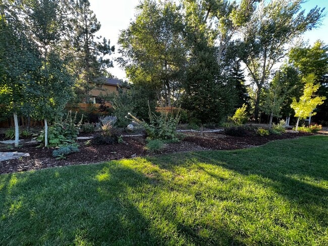 Building Photo - Charming 4 bed, 2 bath Home in North Fort ...