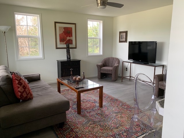 Living room - 2065 Libertyville Rd