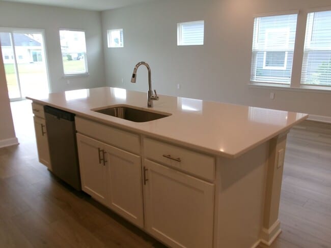 Building Photo - New pond view 5 bedroom, 3 bath home in Cl...