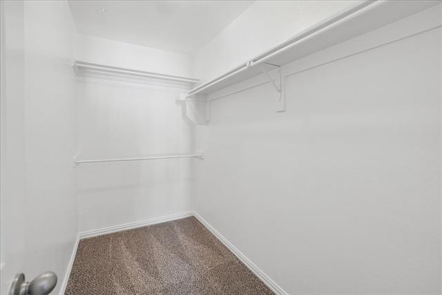 Building Photo - 2220 Sandshell St