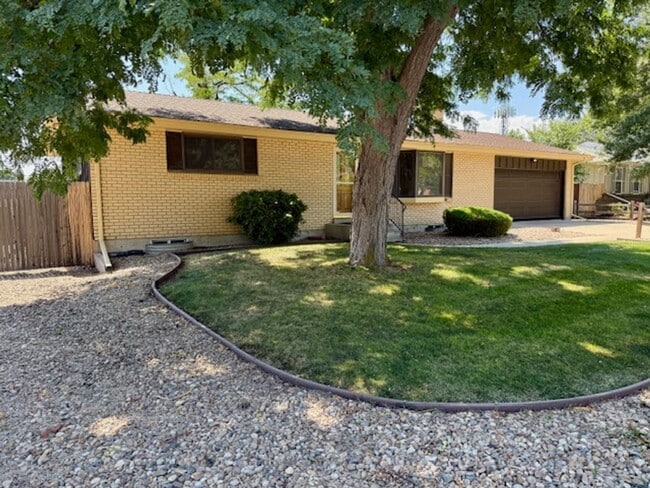 Primary Photo - Unbelievable Lakewood Home