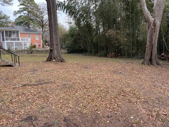 Backyard of Building - 1934 Johnstone St