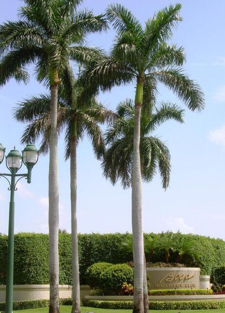 Building Photo - 17061-3 Emile St