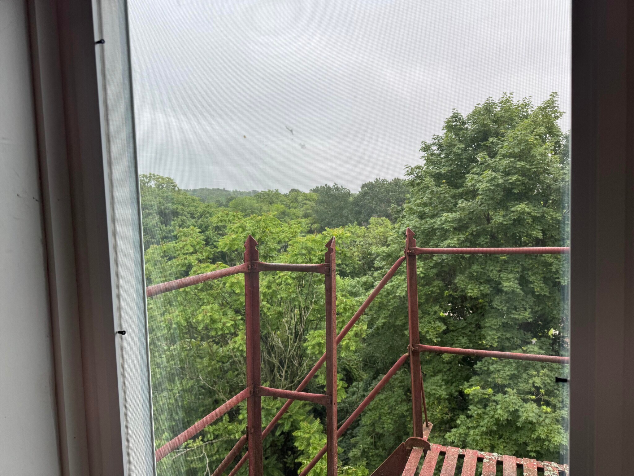 View from living room window - 207 N 1st St